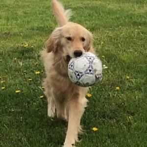 Meet your Posher, Janice